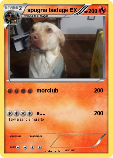 Pokemon spugna badage EX