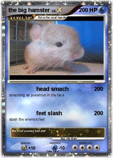 Pokemon the big hamster