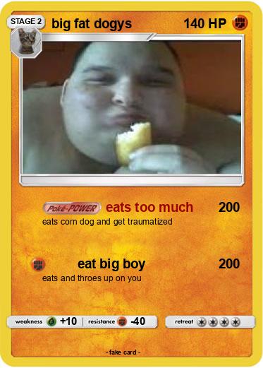 Pokemon big fat dogys