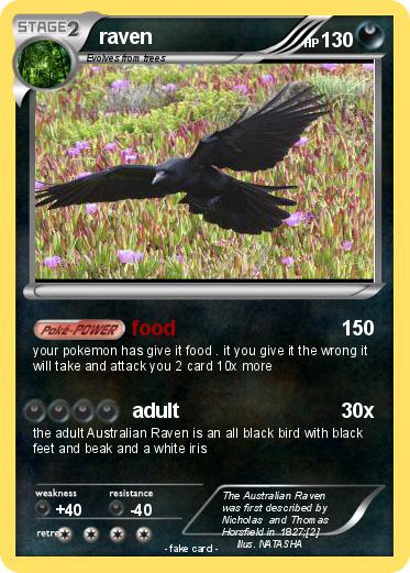 Pokemon raven