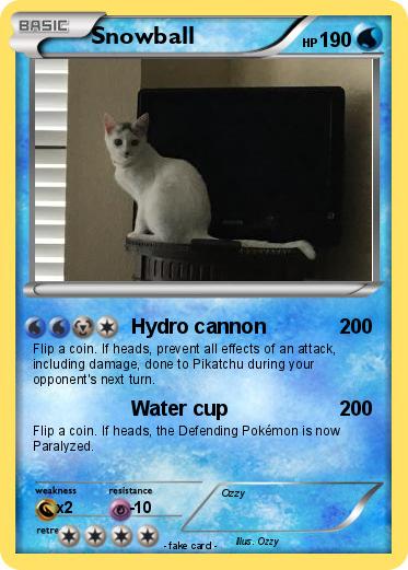 Pokemon Snowball