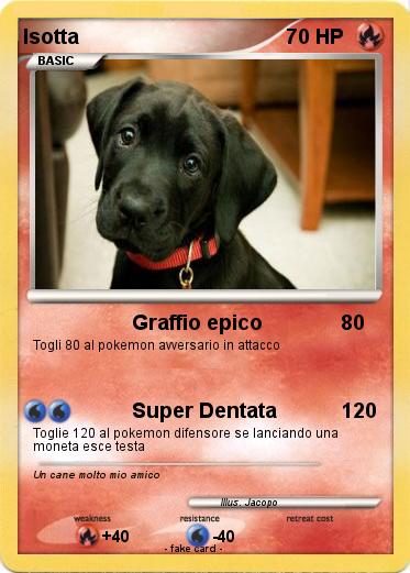 Pokemon Isotta