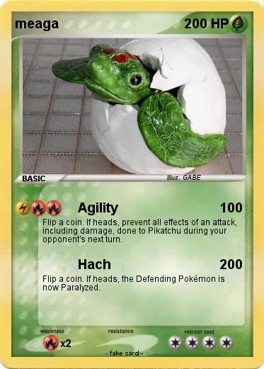 Pokemon meaga