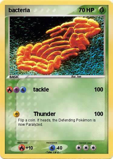 Pokemon bacteria