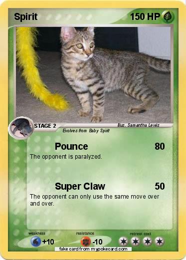 Pokemon Spirit