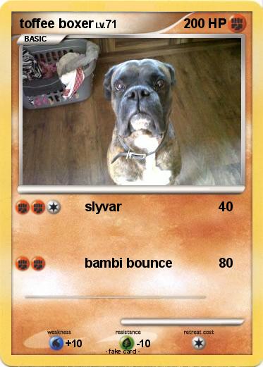 Pokemon toffee boxer