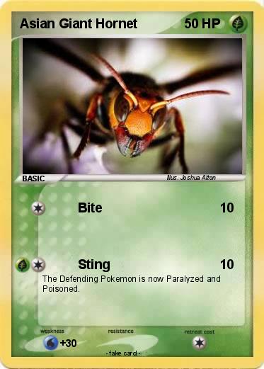 Pokemon Asian Giant Hornet