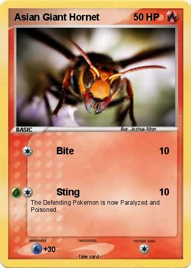 Pokemon Asian Giant Hornet