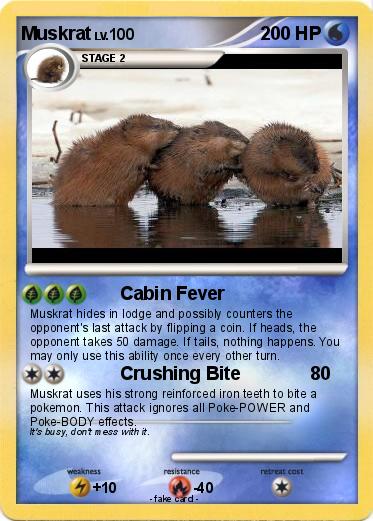 Pokemon Muskrat