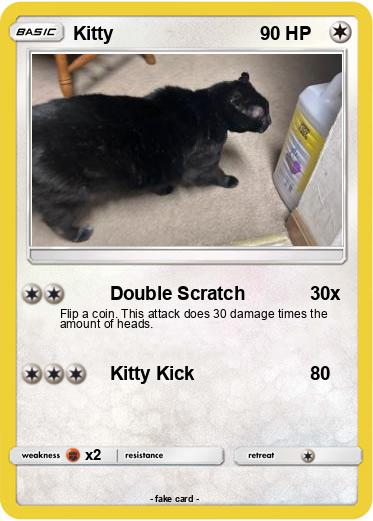 Pokemon Kitty