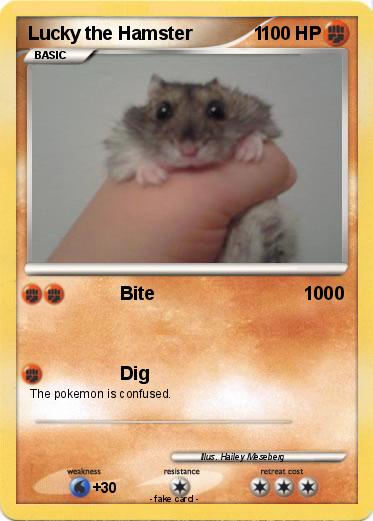 Pokemon Lucky the Hamster            1