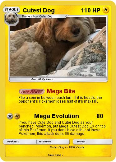 Pokemon Cutest Dog