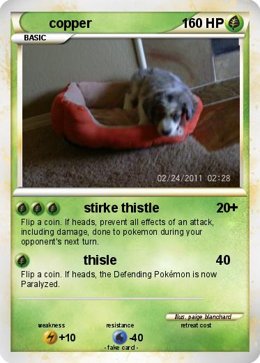 Pokemon copper