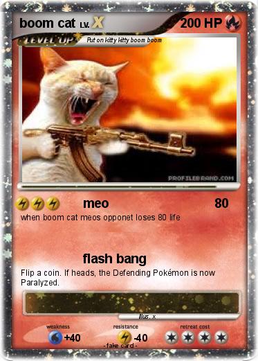 Pokemon boom cat