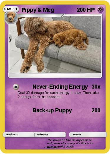 Pokemon Pippy & Meg