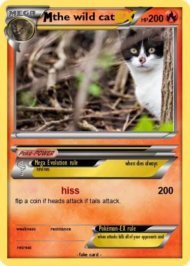 Pokemon the wild cat