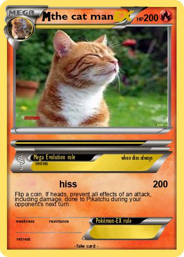 Pokemon the cat man
