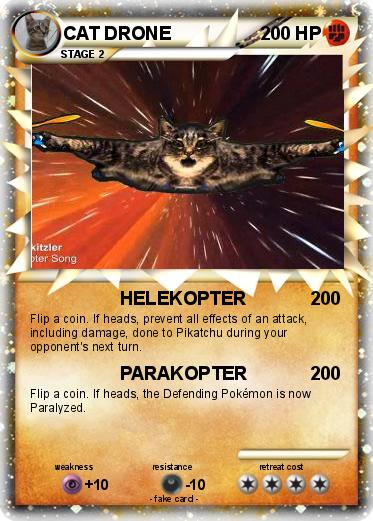 Pokemon CAT DRONE