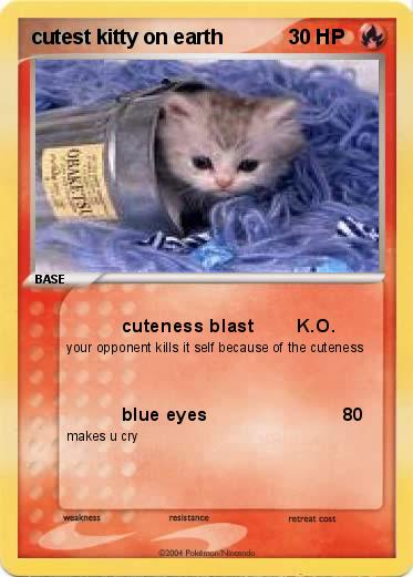 Pokemon cutest kitty on earth