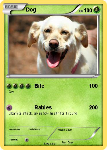 Pokemon Dog