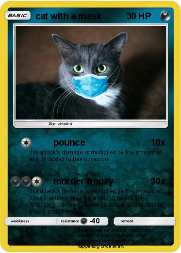 Pokemon cat with a mask