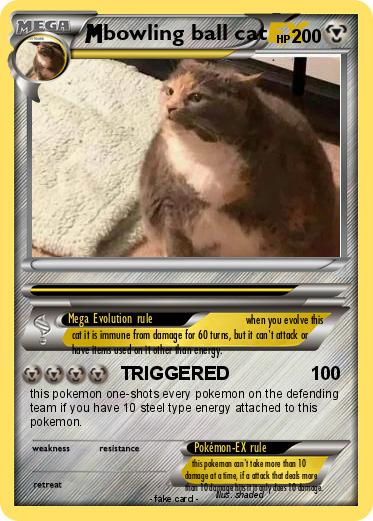 Pokemon bowling ball cat