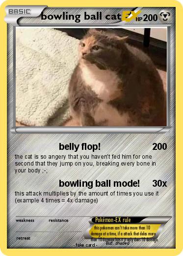 Pokemon bowling ball cat