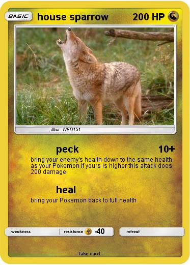 Pokemon house sparrow