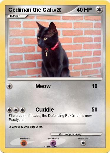 Pokemon Gediman the Cat