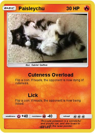Pokemon Paisleychu