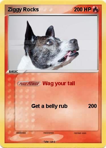 Pokemon Ziggy Rocks