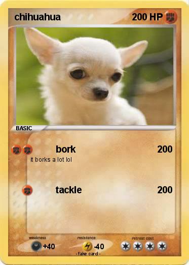 Pokemon chihuahua