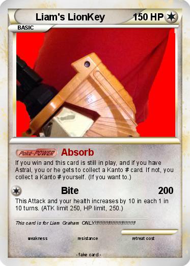 Pokemon Liam's LionKey
