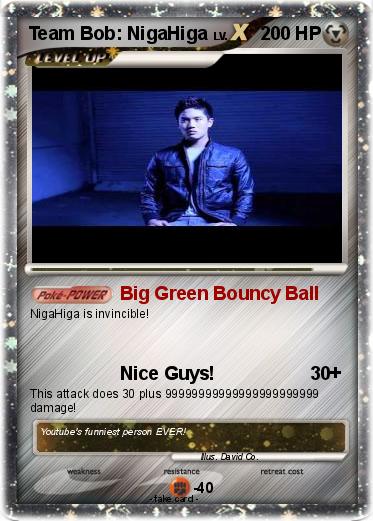 Pokemon Team Bob: NigaHiga