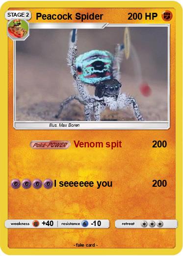 Pokemon Peacock Spider