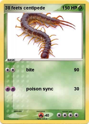 Pokemon 38 feets centipede