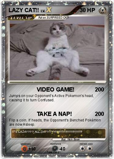 Pokemon LAZY CAT!!