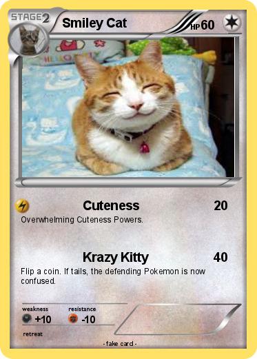 Pokemon Smiley Cat