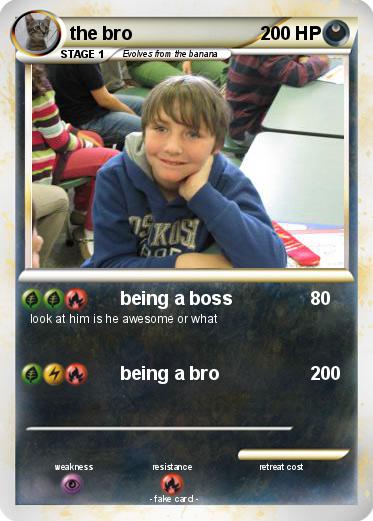 Pokemon the bro