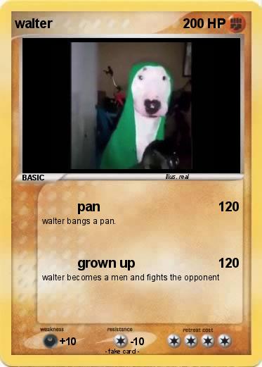 Pokemon walter