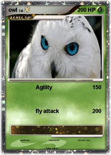 Pokemon owl