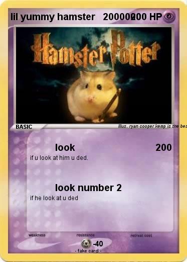 Pokemon lil yummy hamster   2000000