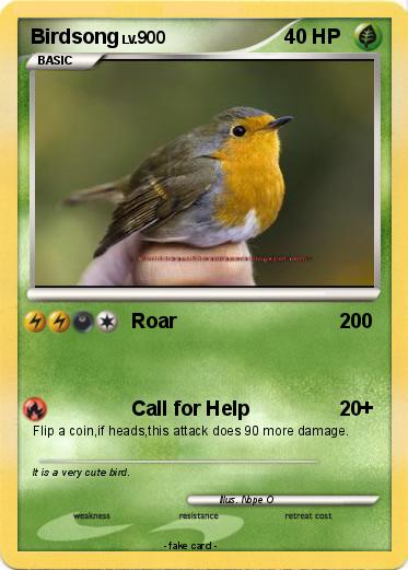Pokemon Birdsong
