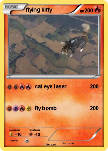 Pokemon flying kitty