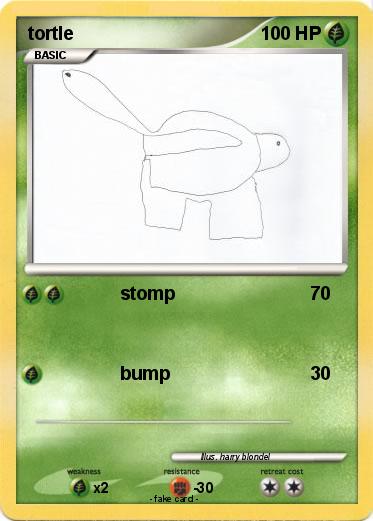 Pokemon tortle