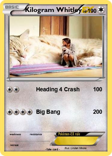 Pokemon Kilogram Whitley