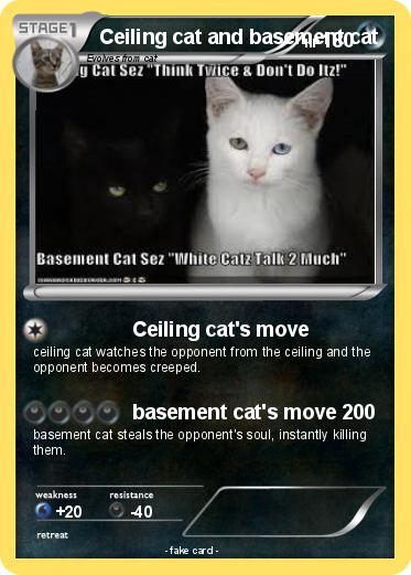 Pokemon Ceiling cat and basement cat