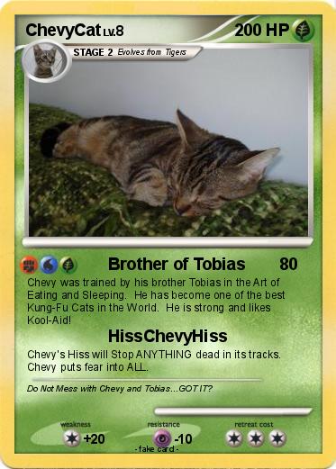 Pokemon ChevyCat