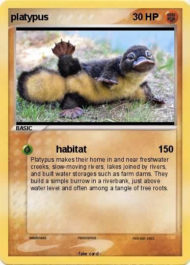 Pokemon platypus