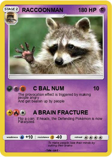 Pokemon RACCOONMAN